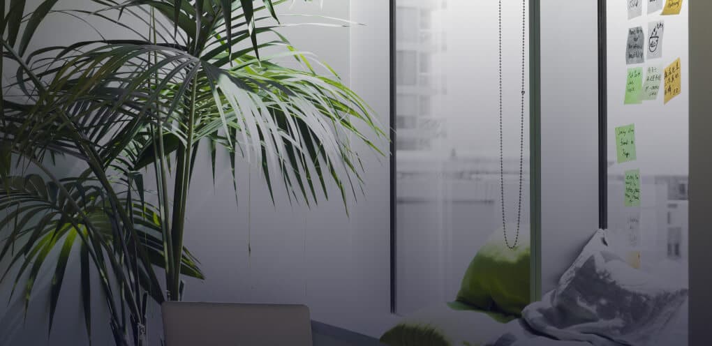 CUBEevo Creative Agency