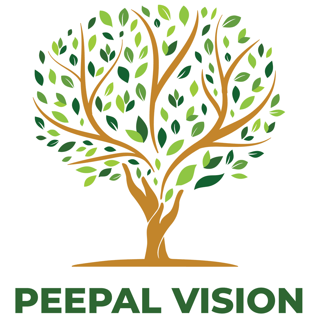 Peepal Vision | Digital Marketing Agency JB